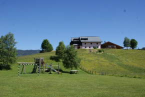 Ferienhaus Kurzenhof Radstadt Radstadt